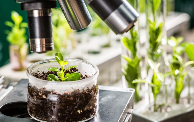plant-science